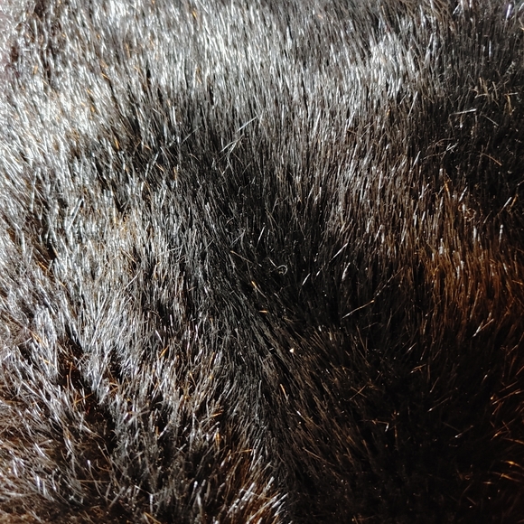 Gap Kids Girl's Black Furry Coat (Kids Size 3T-4T) - Picture 3 of 5